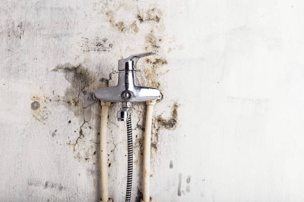 Best Emergency Mold Removal  in Monarch Mill, SC