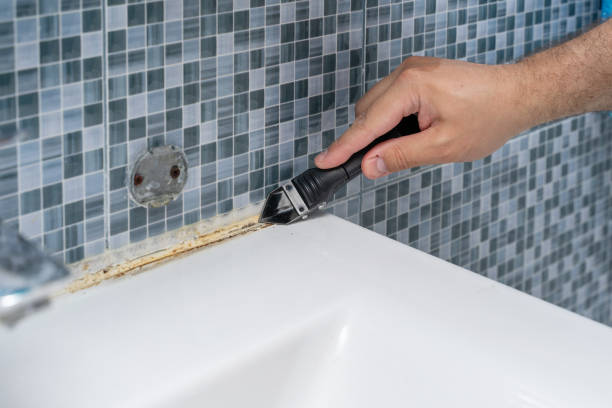 Mold Testing and Removal in Monarch Mill, SC