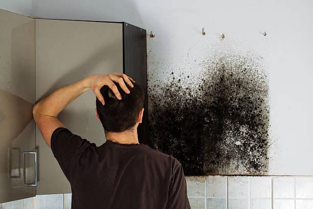 Mold Removal and Inspection in Monarch Mill, SC